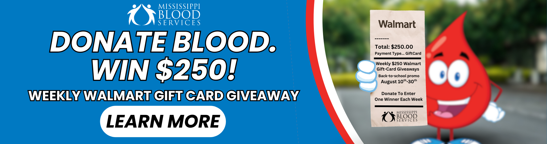 Walmart promo (728 x 90 px) (1024 x 90 px) (1900 x 500 px) (1)